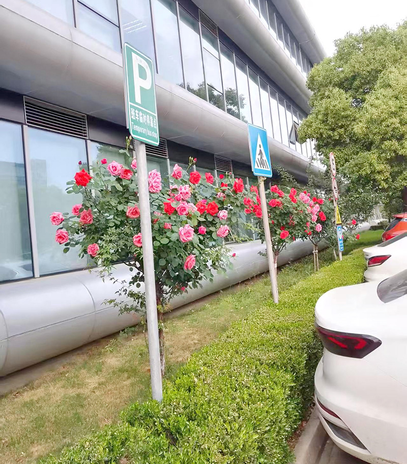 泰連電子（蘇州）有限公司